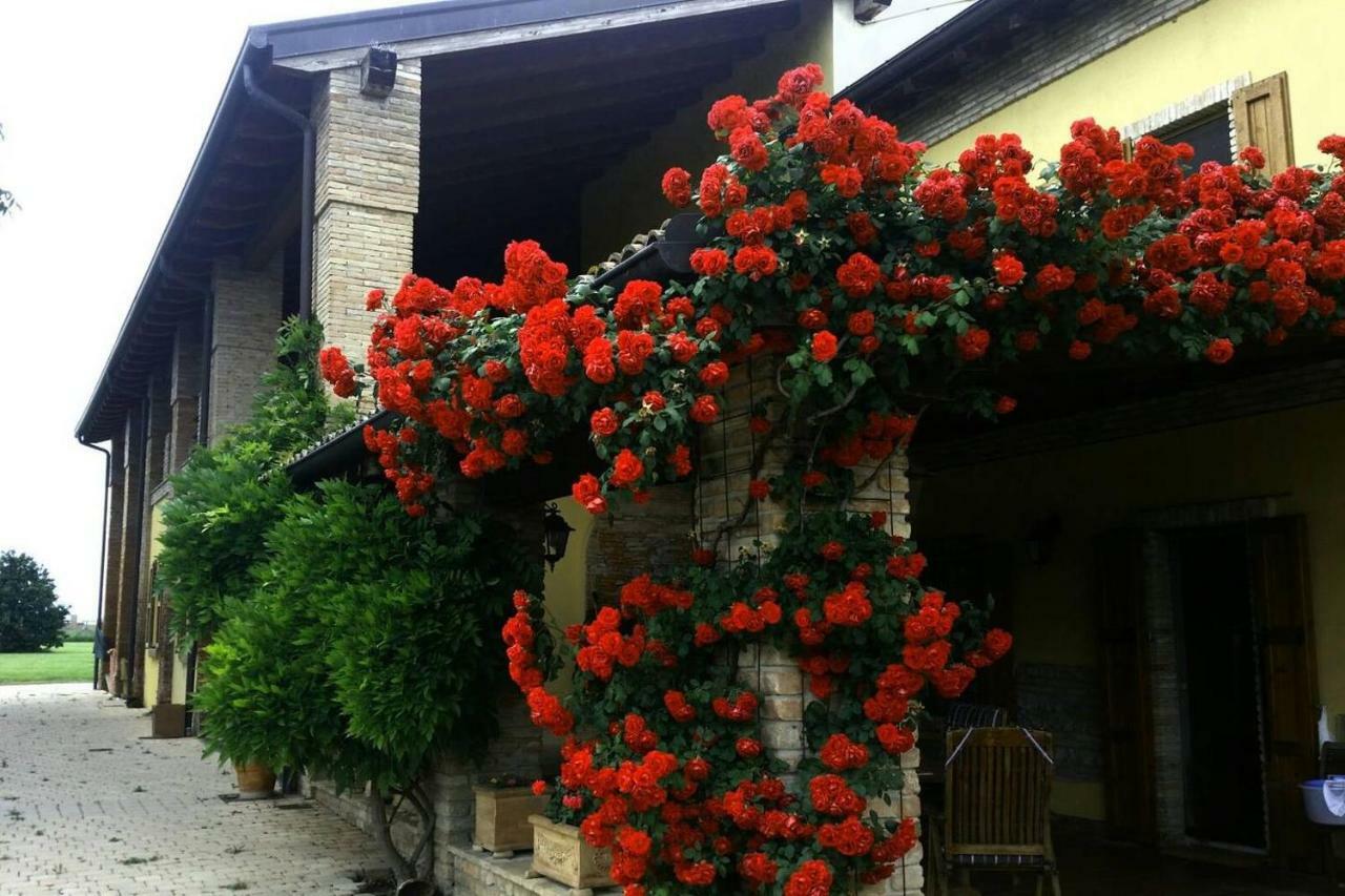 Ardenga Guest House Montechiarugolo 外观 照片